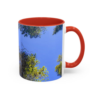 Scenic Pine Tree Sky Accent Coffee Mug – Nature Photography 11/15oz