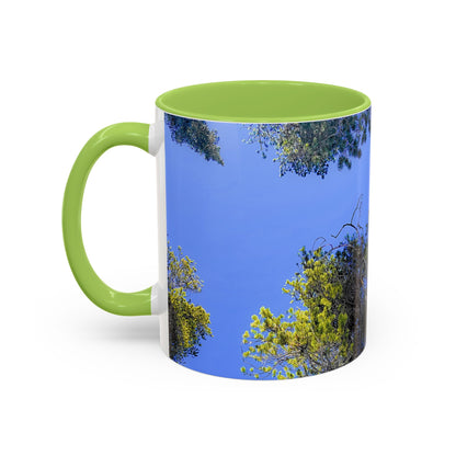 Scenic Pine Tree Sky Accent Coffee Mug – Nature Photography 11/15oz