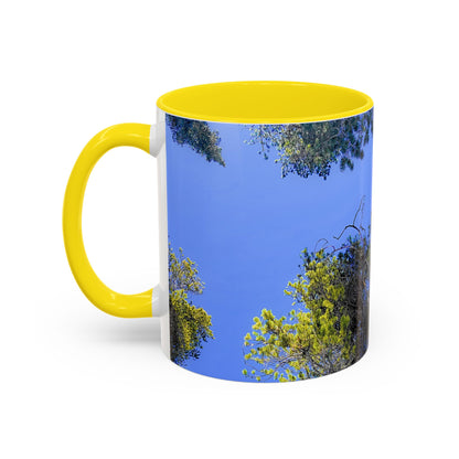 Scenic Pine Tree Sky Accent Coffee Mug – Nature Photography 11/15oz
