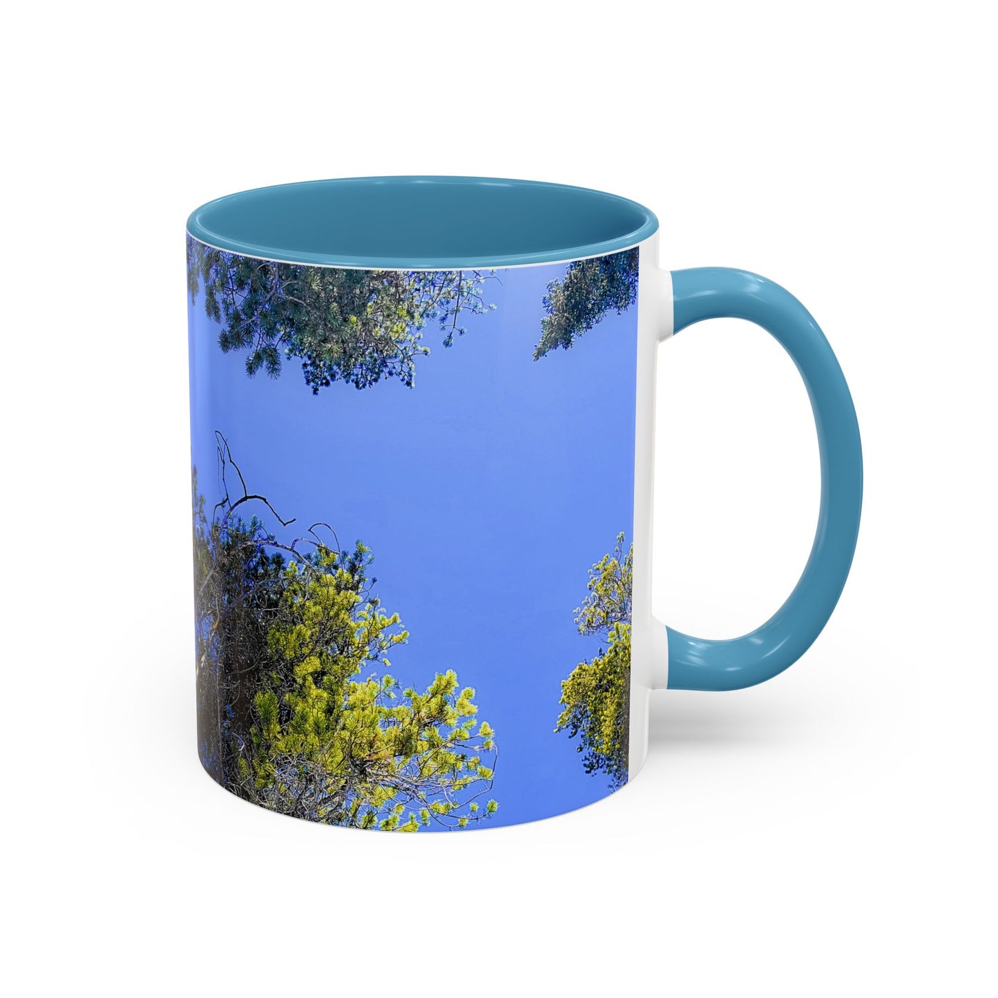 Scenic Pine Tree Sky Accent Coffee Mug – Nature Photography 11/15oz