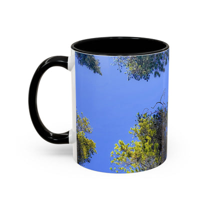 Scenic Pine Tree Sky Accent Coffee Mug – Nature Photography 11/15oz