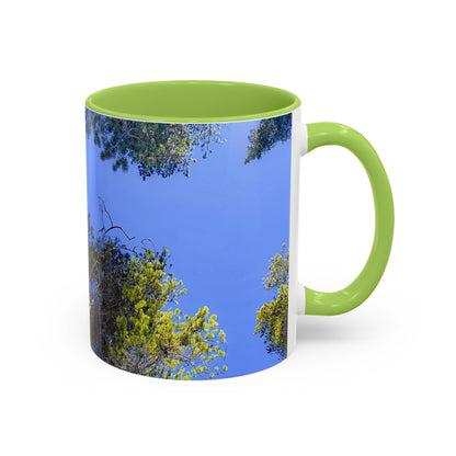 Scenic Pine Tree Sky Accent Coffee Mug – Nature Photography 11/15oz