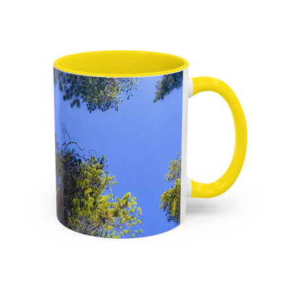 Scenic Pine Tree Sky Accent Coffee Mug – Nature Photography 11/15oz