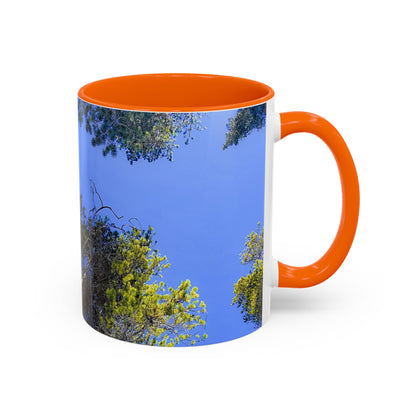 Scenic Pine Tree Sky Accent Coffee Mug – Nature Photography 11/15oz